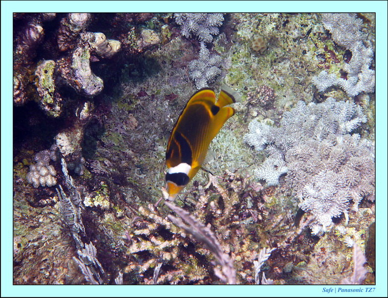 2012 - 07 - Palinton Sanctuary 22